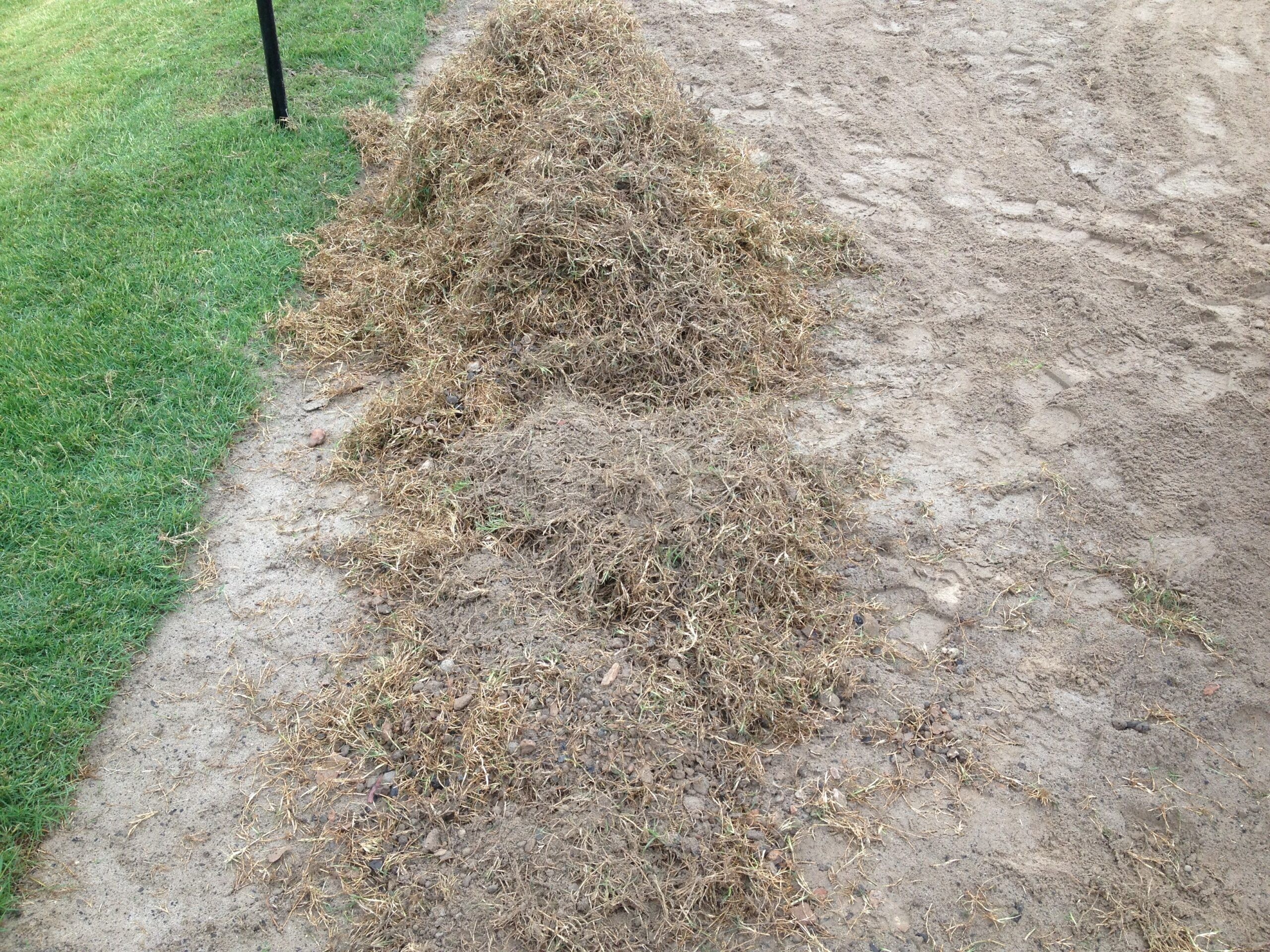 Weed Control